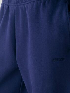 Aritzia Deep Navy Fleece Joggers
